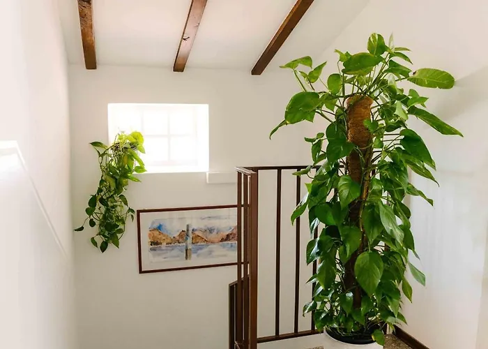 Bed & Breakfast Spina Verde Home 4*